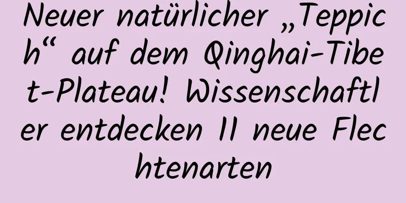 Neuer natürlicher „Teppich“ auf dem Qinghai-Tibet-Plateau! Wissenschaftler entdecken 11 neue Flechtenarten