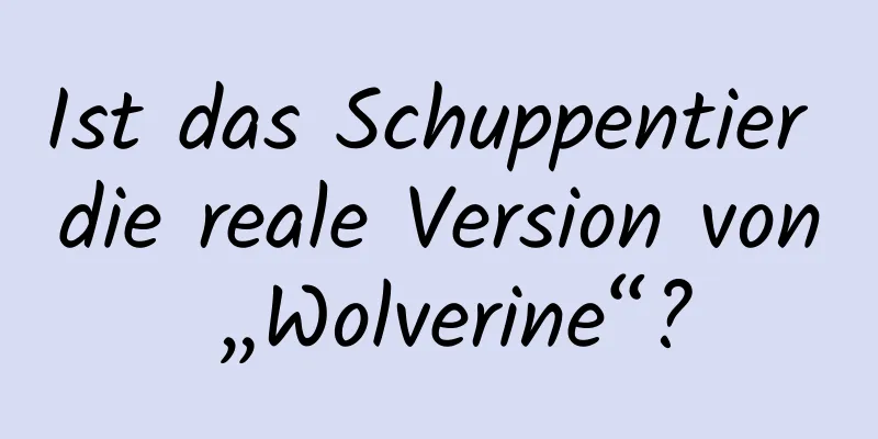 Ist das Schuppentier die reale Version von „Wolverine“?