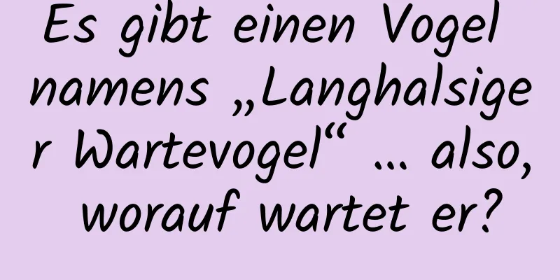 Es gibt einen Vogel namens „Langhalsiger Wartevogel“ … also, worauf wartet er?