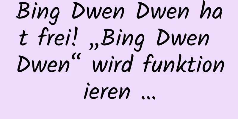 Bing Dwen Dwen hat frei! „Bing Dwen Dwen“ wird funktionieren …