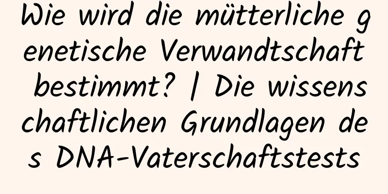 Wie wird die mütterliche genetische Verwandtschaft bestimmt? | Die wissenschaftlichen Grundlagen des DNA-Vaterschaftstests