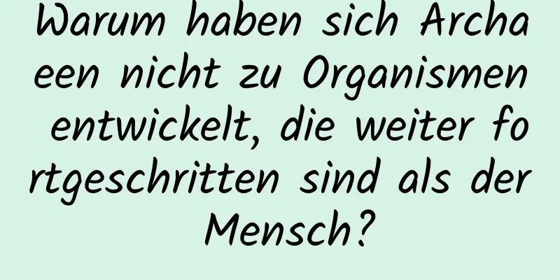 Warum haben sich Archaeen nicht zu Organismen entwickelt, die weiter fortgeschritten sind als der Mensch?