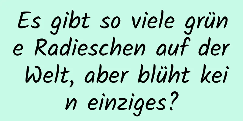 Es gibt so viele grüne Radieschen auf der Welt, aber blüht kein einziges?