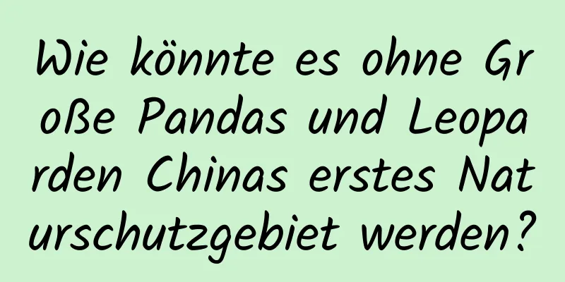 Wie könnte es ohne Große Pandas und Leoparden Chinas erstes Naturschutzgebiet werden?