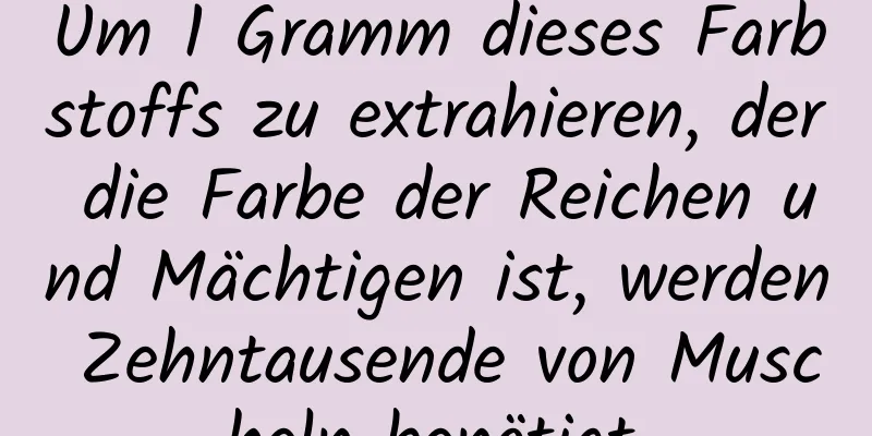 Um 1 Gramm dieses Farbstoffs zu extrahieren, der die Farbe der Reichen und Mächtigen ist, werden Zehntausende von Muscheln benötigt.