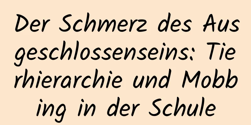 Der Schmerz des Ausgeschlossenseins: Tierhierarchie und Mobbing in der Schule