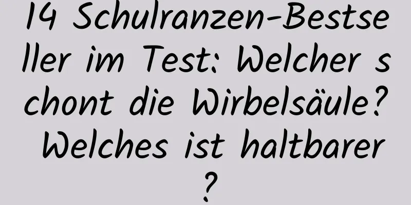 14 Schulranzen-Bestseller im Test: Welcher schont die Wirbelsäule? Welches ist haltbarer?