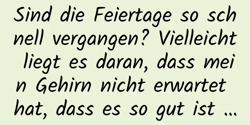 Sind die Feiertage so schnell vergangen? Vielleicht liegt es daran, dass mein Gehirn nicht erwartet hat, dass es so gut ist …