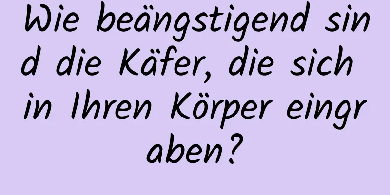 Wie beängstigend sind die Käfer, die sich in Ihren Körper eingraben?