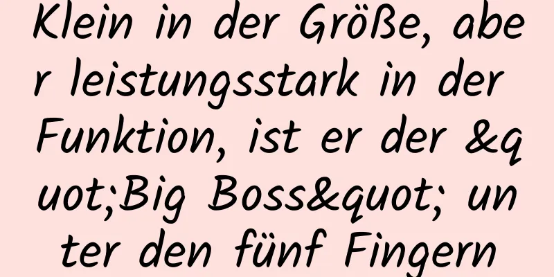 Klein in der Größe, aber leistungsstark in der Funktion, ist er der "Big Boss" unter den fünf Fingern
