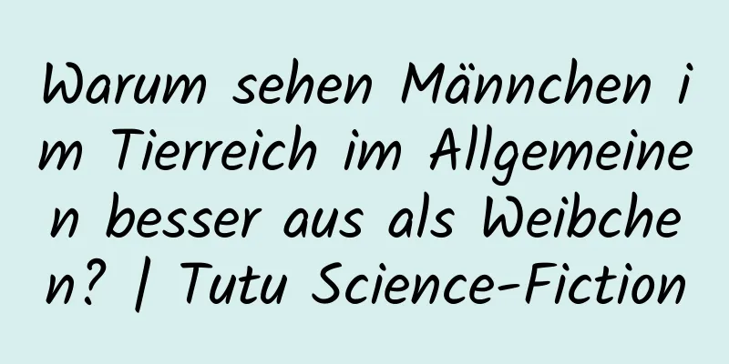 Warum sehen Männchen im Tierreich im Allgemeinen besser aus als Weibchen? | Tutu Science-Fiction