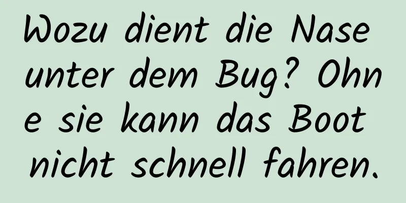 Wozu dient die Nase unter dem Bug? Ohne sie kann das Boot nicht schnell fahren.
