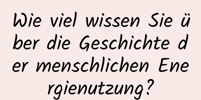 Wie viel wissen Sie über die Geschichte der menschlichen Energienutzung?