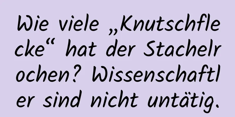 Wie viele „Knutschflecke“ hat der Stachelrochen? Wissenschaftler sind nicht untätig.