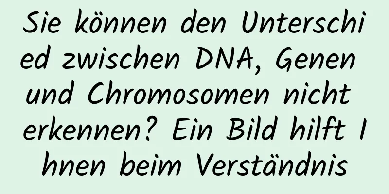 Sie können den Unterschied zwischen DNA, Genen und Chromosomen nicht erkennen? Ein Bild hilft Ihnen beim Verständnis