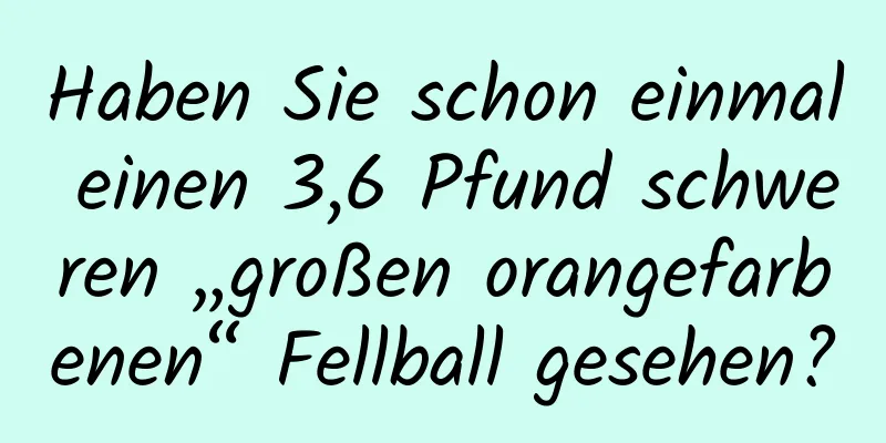 Haben Sie schon einmal einen 3,6 Pfund schweren „großen orangefarbenen“ Fellball gesehen?