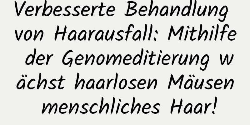 Verbesserte Behandlung von Haarausfall: Mithilfe der Genomeditierung wächst haarlosen Mäusen menschliches Haar!