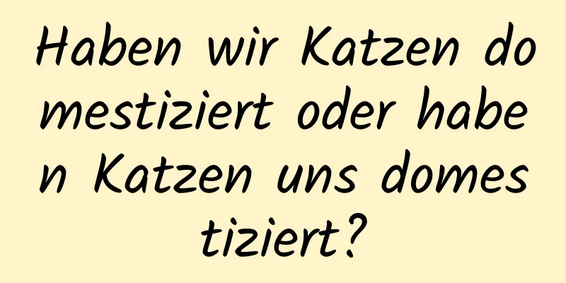 Haben wir Katzen domestiziert oder haben Katzen uns domestiziert?
