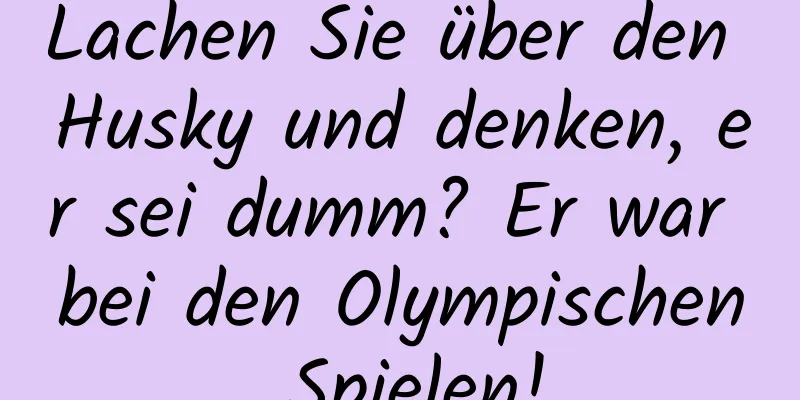 Lachen Sie über den Husky und denken, er sei dumm? Er war bei den Olympischen Spielen!