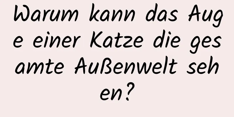 Warum kann das Auge einer Katze die gesamte Außenwelt sehen?
