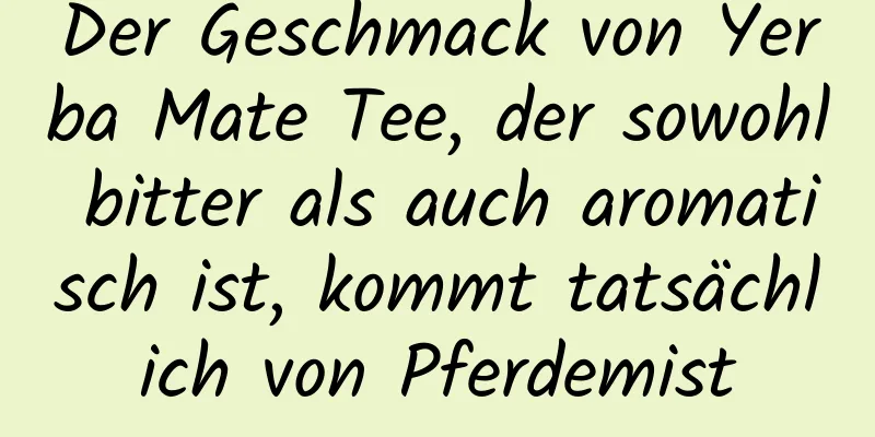 Der Geschmack von Yerba Mate Tee, der sowohl bitter als auch aromatisch ist, kommt tatsächlich von Pferdemist