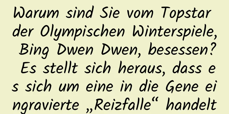 Warum sind Sie vom Topstar der Olympischen Winterspiele, Bing Dwen Dwen, besessen? Es stellt sich heraus, dass es sich um eine in die Gene eingravierte „Reizfalle“ handelt