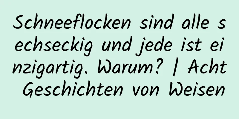 Schneeflocken sind alle sechseckig und jede ist einzigartig. Warum? | Acht Geschichten von Weisen