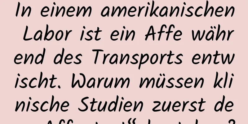 In einem amerikanischen Labor ist ein Affe während des Transports entwischt. Warum müssen klinische Studien zuerst den „Affentest“ bestehen?