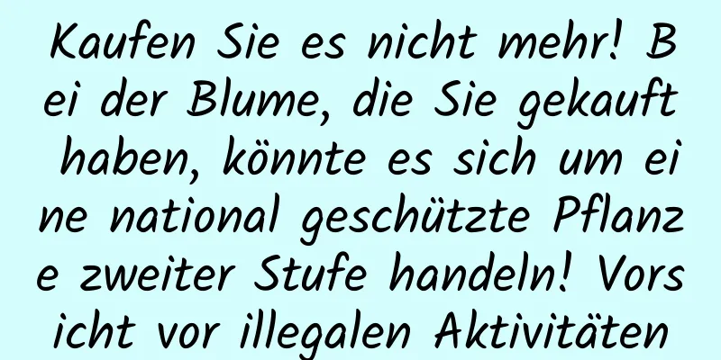 Kaufen Sie es nicht mehr! Bei der Blume, die Sie gekauft haben, könnte es sich um eine national geschützte Pflanze zweiter Stufe handeln! Vorsicht vor illegalen Aktivitäten