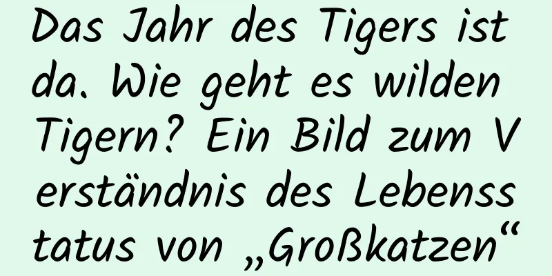 Das Jahr des Tigers ist da. Wie geht es wilden Tigern? Ein Bild zum Verständnis des Lebensstatus von „Großkatzen“