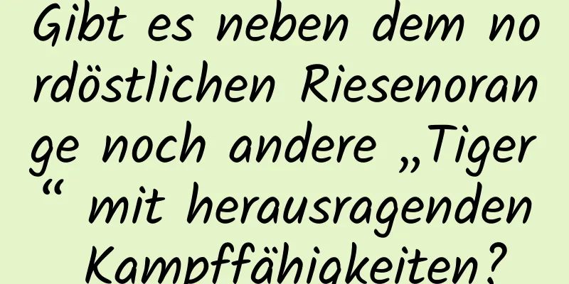 Gibt es neben dem nordöstlichen Riesenorange noch andere „Tiger“ mit herausragenden Kampffähigkeiten?