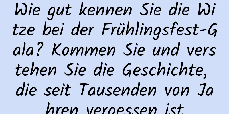 Wie gut kennen Sie die Witze bei der Frühlingsfest-Gala? Kommen Sie und verstehen Sie die Geschichte, die seit Tausenden von Jahren vergessen ist