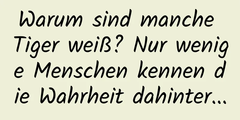 Warum sind manche Tiger weiß? Nur wenige Menschen kennen die Wahrheit dahinter...