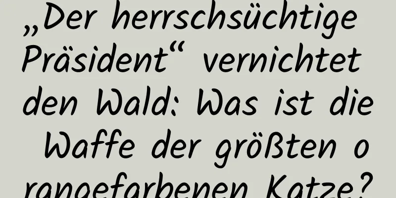„Der herrschsüchtige Präsident“ vernichtet den Wald: Was ist die Waffe der größten orangefarbenen Katze?