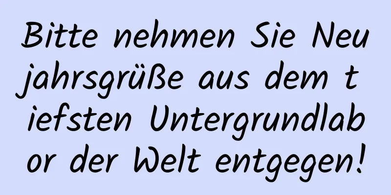 Bitte nehmen Sie Neujahrsgrüße aus dem tiefsten Untergrundlabor der Welt entgegen!