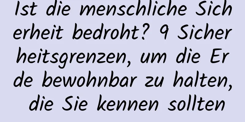 Ist die menschliche Sicherheit bedroht? 9 Sicherheitsgrenzen, um die Erde bewohnbar zu halten, die Sie kennen sollten