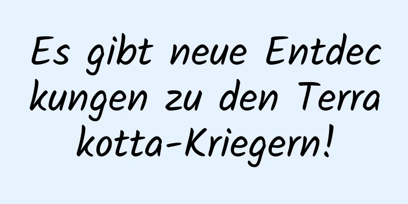 Es gibt neue Entdeckungen zu den Terrakotta-Kriegern!