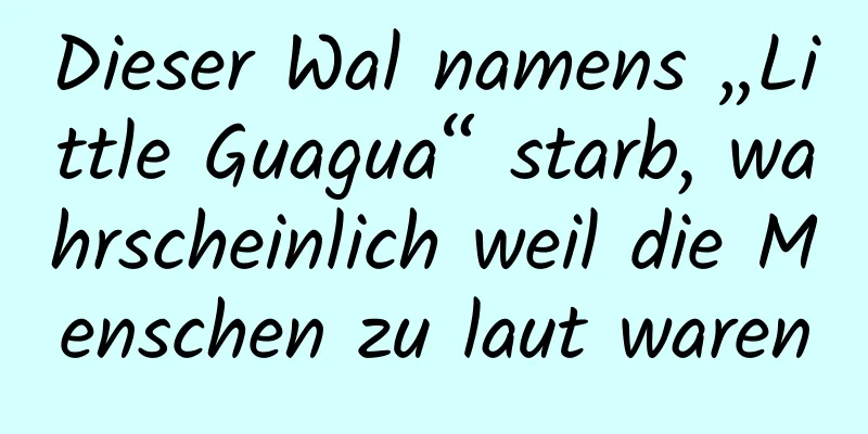 Dieser Wal namens „Little Guagua“ starb, wahrscheinlich weil die Menschen zu laut waren