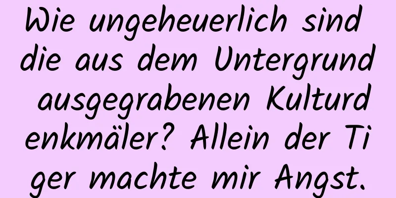 Wie ungeheuerlich sind die aus dem Untergrund ausgegrabenen Kulturdenkmäler? Allein der Tiger machte mir Angst.