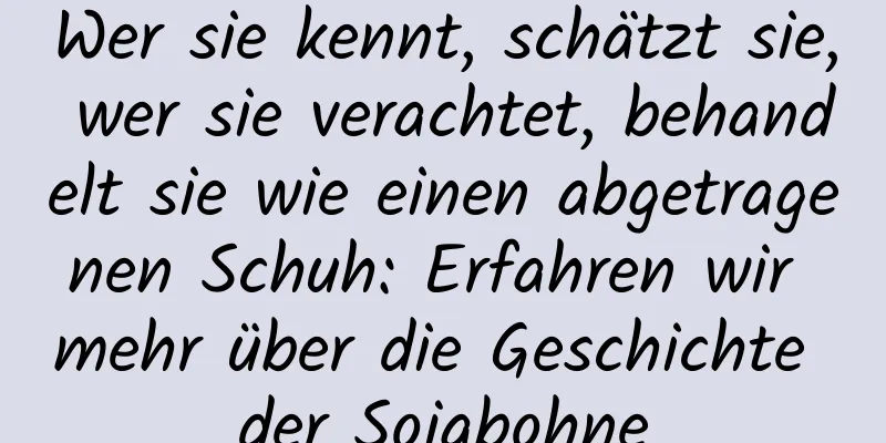 Wer sie kennt, schätzt sie, wer sie verachtet, behandelt sie wie einen abgetragenen Schuh: Erfahren wir mehr über die Geschichte der Sojabohne