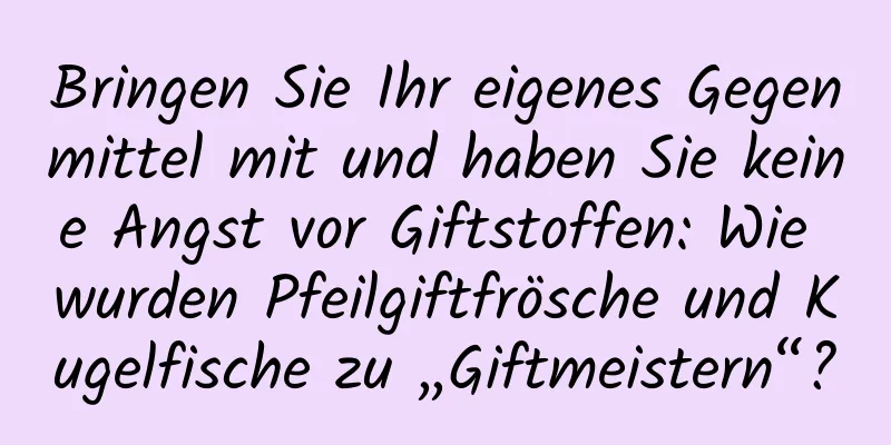 Bringen Sie Ihr eigenes Gegenmittel mit und haben Sie keine Angst vor Giftstoffen: Wie wurden Pfeilgiftfrösche und Kugelfische zu „Giftmeistern“?