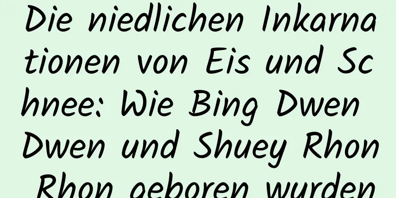 Die niedlichen Inkarnationen von Eis und Schnee: Wie Bing Dwen Dwen und Shuey Rhon Rhon geboren wurden
