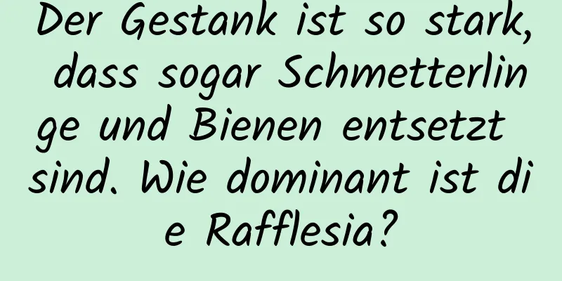 Der Gestank ist so stark, dass sogar Schmetterlinge und Bienen entsetzt sind. Wie dominant ist die Rafflesia?