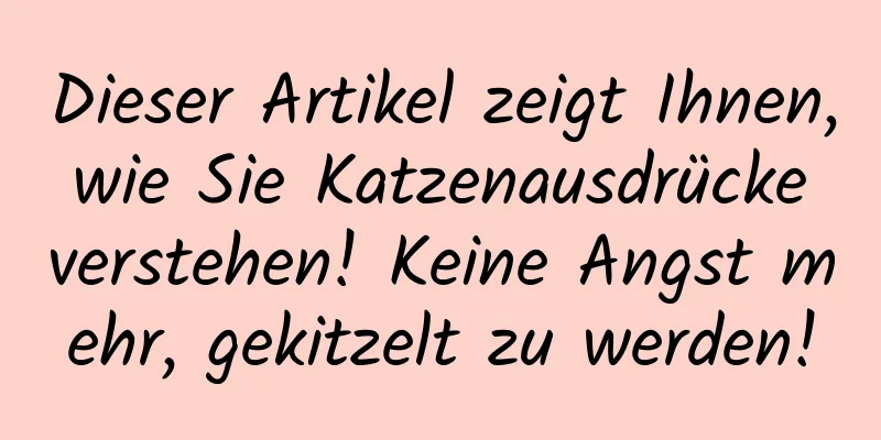Dieser Artikel zeigt Ihnen, wie Sie Katzenausdrücke verstehen! Keine Angst mehr, gekitzelt zu werden!