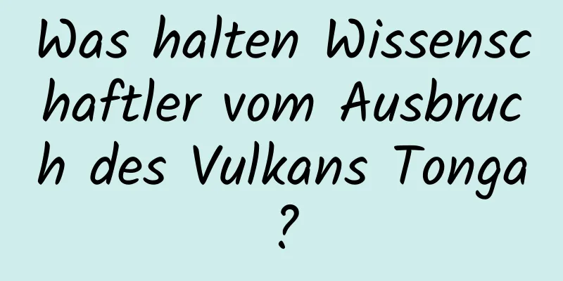 Was halten Wissenschaftler vom Ausbruch des Vulkans Tonga?