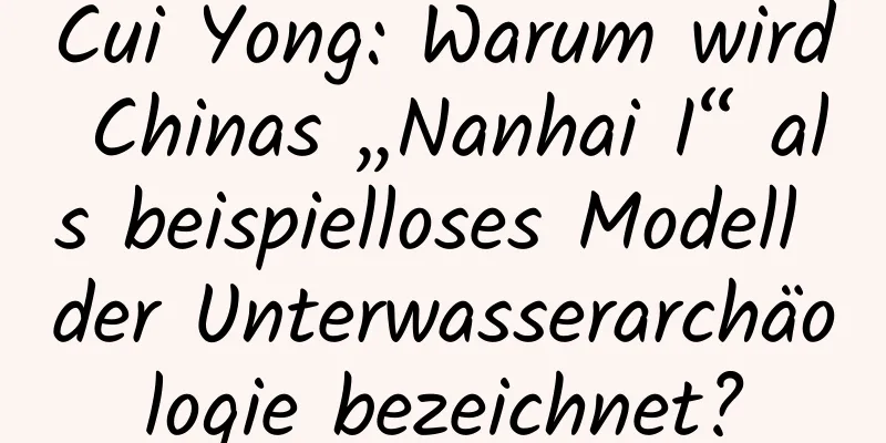 Cui Yong: Warum wird Chinas „Nanhai I“ als beispielloses Modell der Unterwasserarchäologie bezeichnet?
