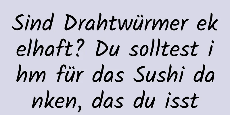 Sind Drahtwürmer ekelhaft? Du solltest ihm für das Sushi danken, das du isst