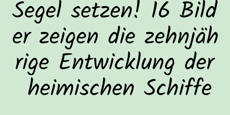 Segel setzen! 16 Bilder zeigen die zehnjährige Entwicklung der heimischen Schiffe