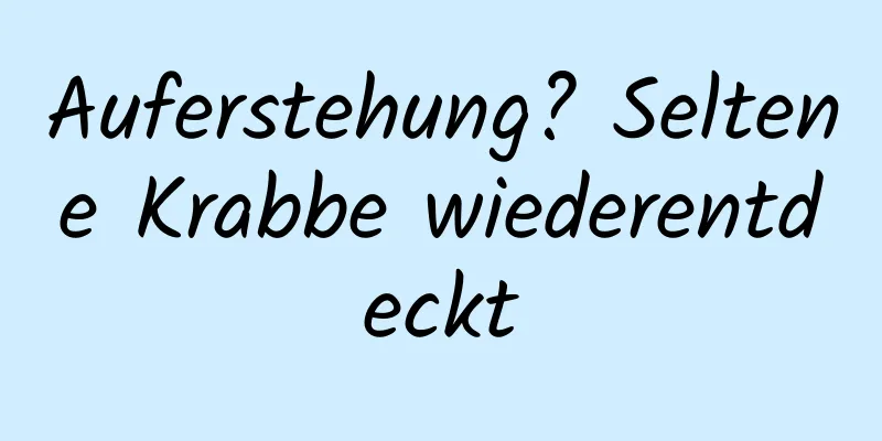Auferstehung? Seltene Krabbe wiederentdeckt