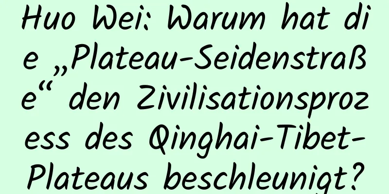 Huo Wei: Warum hat die „Plateau-Seidenstraße“ den Zivilisationsprozess des Qinghai-Tibet-Plateaus beschleunigt?